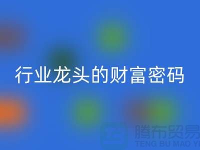 上海库存服装九游体育（中国）官方授权网站市场：揭秘行业龙头的财富密码与生态闭环