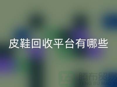 真皮皮鞋九游体育（中国）官方授权网站平台有哪些——上海光头库存九游体育（中国）官方授权网站公司