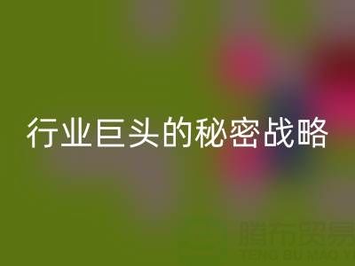 上海库存布料九游体育（中国）官方授权网站市场：揭秘行业巨头的秘密战略