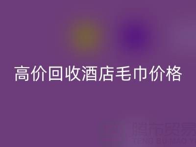徐州九游体育（中国）官方授权网站毛巾浴袍，高价九游体育（中国）官方授权网站酒店毛巾价格——上海腾布贸易公司