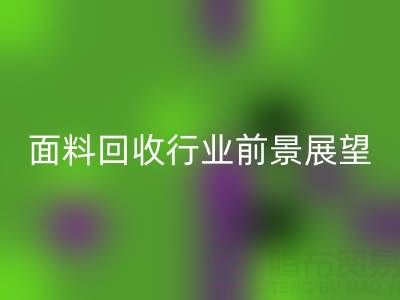 南通库存面料九游体育（中国）官方授权网站行业前景展望：开启新篇章