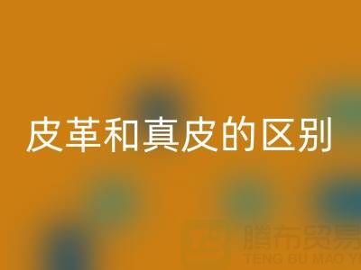 d72b6821058a220fd86f828410ffc4e3_1.png