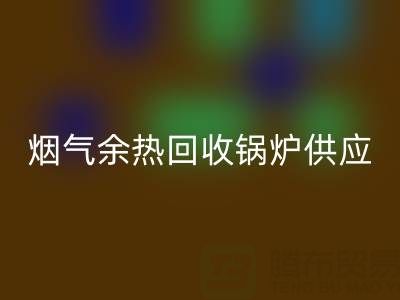 烟气余热九游体育（中国）官方授权网站锅炉供应商盘点：行业领先企业及技术解析