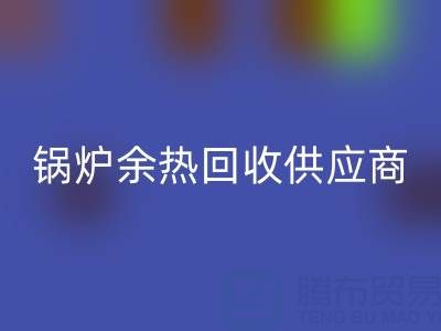 锅炉余热九游体育（中国）官方授权网站供应商有哪些公司——上海腾布贸易公司