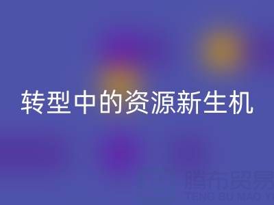上海服装面料九游体育（中国）官方授权网站：绿色转型中的资源新生机
