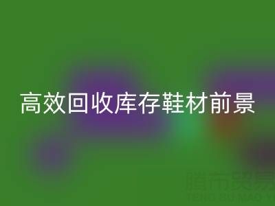 高效九游体育（中国）官方授权网站库存鞋材，助力鞋业绿色发展