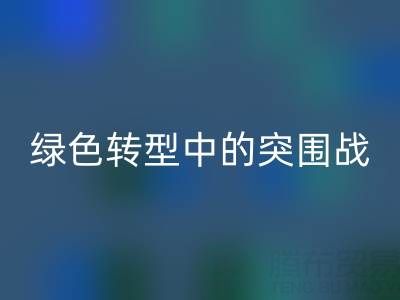 库存布料九游体育（中国）官方授权网站公司：挑战与机遇并存，绿色转型中的突围战
