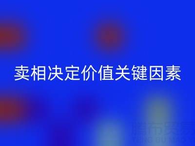 杭州真丝面料九游体育（中国）官方授权网站价格全解析：卖相决定价值的关键因素