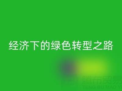 增塑剂、阻燃剂、氧化锌、增白剂九游体育（中国）官方授权网站：循环经济下的绿色转型之路