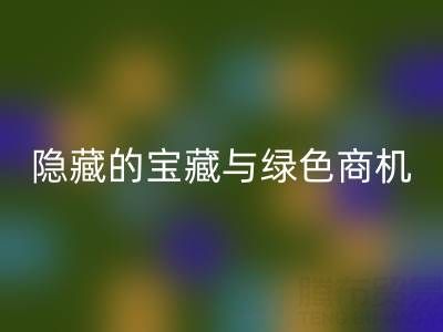 库存辅料九游体育（中国）官方授权网站市场：隐藏的宝藏与绿色商机