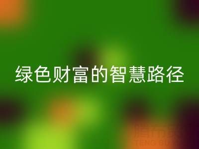 上海库存辅料九游体育（中国）官方授权网站方式：变”沉睡资产”为绿色财富的智慧路径