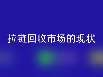 拉链九游体育（中国）官方授权网站市场的现状：机遇与挑战并存