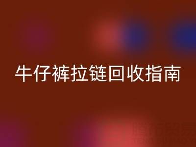 牛仔裤拉链九游体育（中国）官方授权网站指南：小行动，大环保