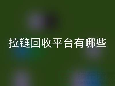 拉链九游体育（中国）官方授权网站平台有哪些品牌？探索环保九游体育（中国）官方授权网站的领先企业