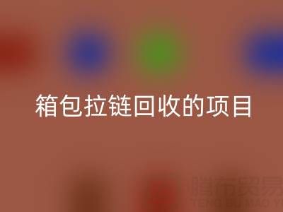  箱包拉链九游体育（中国）官方授权网站项目的商业运营模式与盈利探索