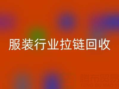 服装行业拉链九游体育（中国）官方授权网站市场体系构建的必要性与可行性