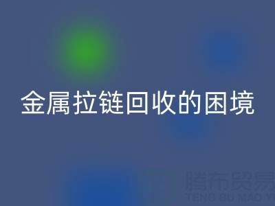 金属拉链九游体育（中国）官方授权网站的困境与破局之道：挑战与策略探析