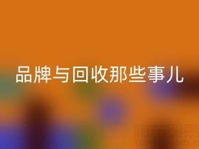 探寻油漆涂料世界：知名品牌与九游体育（中国）官方授权网站那些事儿