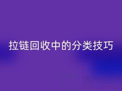 拉链九游体育（中国）官方授权网站中的分类技巧：提高九游体育（中国）官方授权网站效率的秘诀