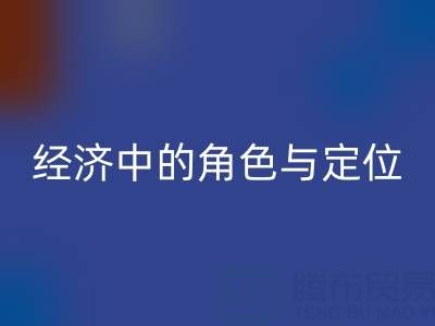 拉链九游体育（中国）官方授权网站厂家在循环经济中的角色与定位