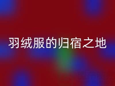 羽绒服九游体育（中国）官方授权网站新选择：雅鹿、安踏、长款、鸭鸭羽绒服的归宿之地