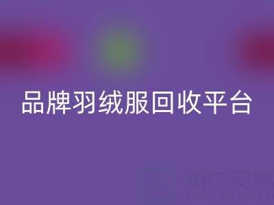 长款羽绒服九游体育（中国）官方授权网站指南：品牌羽绒服九游体育（中国）官方授权网站与羽绒服收购平台哪家好？