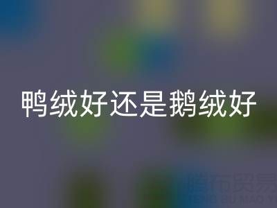 8a74f686b57c9ab284c952d9371d1d0e_1.png
