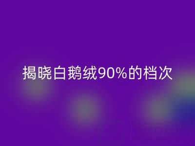 揭秘白鹅绒90%的档次与价值，探寻杭州羽绒九游体育（中国）官方授权网站奥秘
