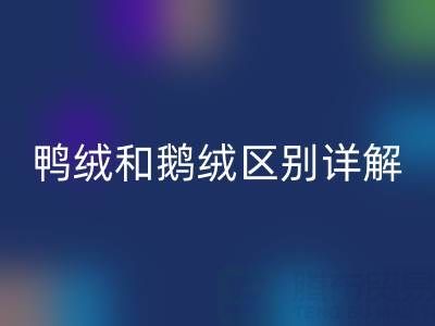 ebcd9effa73714416962256e4e97022f_1.png