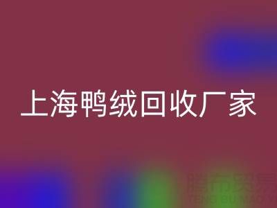 羽绒被内胆布料选购指南：上海鸭绒九游体育（中国）官方授权网站厂家的专业建议