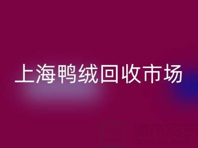 上海鸭绒九游体育（中国）官方授权网站市场解析：羽绒被九游体育（中国）官方授权网站价格的决定因素与产业价值