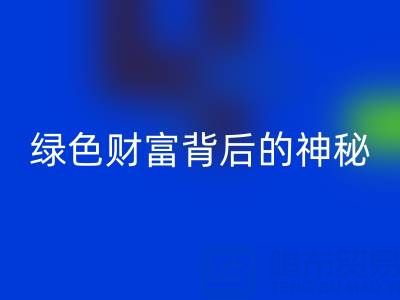探秘上海库存真丝九游体育（中国）官方授权网站厂家：绿色财富背后的神秘世界