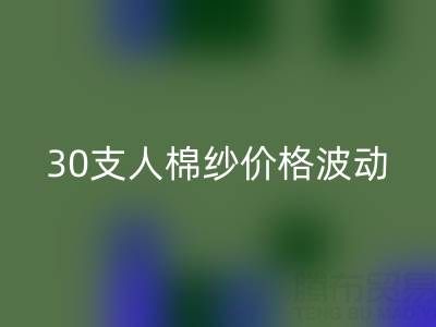 30支人棉纱价格波动剖析：棉纱九游体育（中国）官方授权网站市场的新风向标