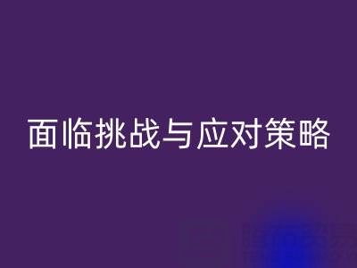 库存染料九游体育（中国）官方授权网站公司面临的挑战与应对策略